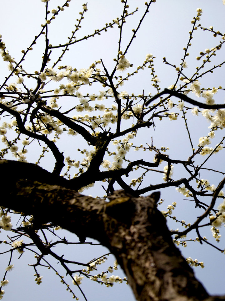 下第东归作‘xc sports’(图2) xc体育