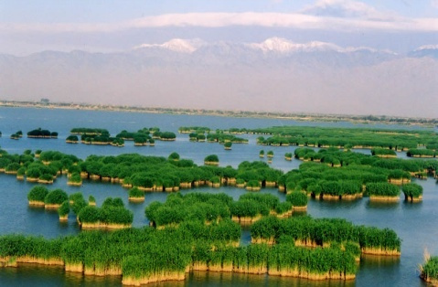 萧宅二三子赠答诗二十首。客赠石‘xc sports’(图1) xc体育