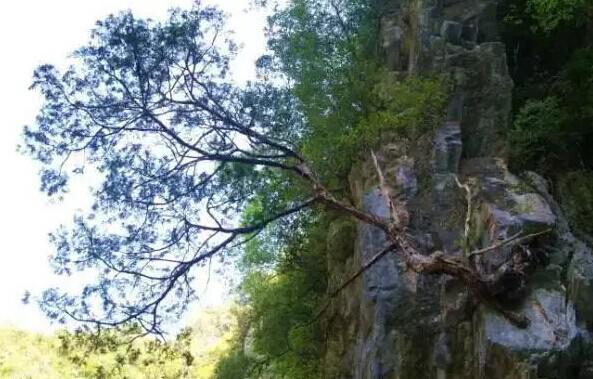 月经过多的原因是什么?:xc体育(图3) xc sports