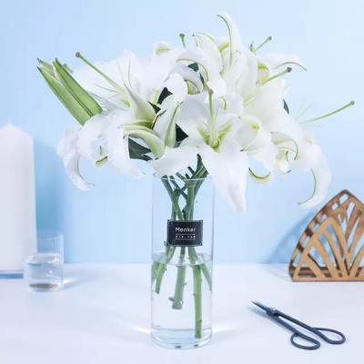 【xc体育】子宫息肉检查该怎么选择方法(图1) xc sports