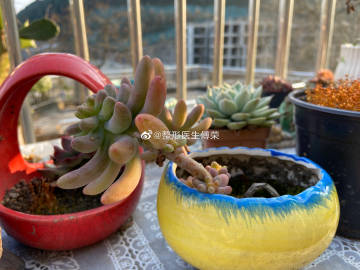 xc sports|送韦邕少府归钟山(图2) xc sports