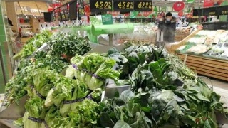 北京东城一餐馆涉嫌向雨水口倾倒餐厨垃圾被查‘xc体育’(图3) xc sports