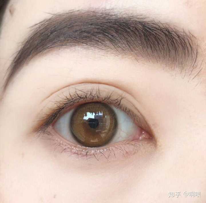 林园即事寄舍弟ヨ(次荆州时作):xc sports(图1) xc sports